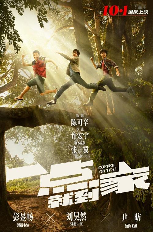 买假中国银行存款证明